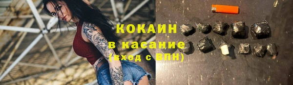 индика Беломорск