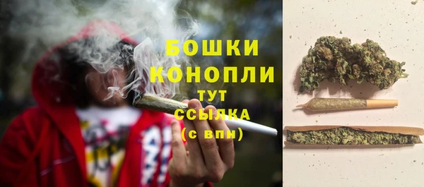 mdpv Белокуриха