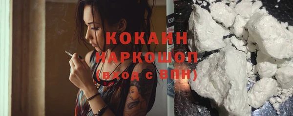 индика Беломорск