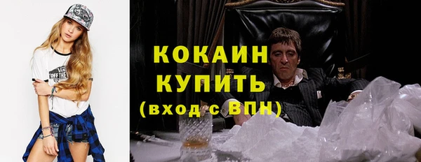 индика Беломорск