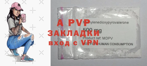 индика Беломорск