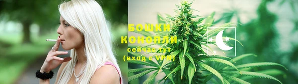 индика Беломорск