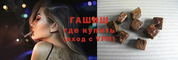 индика Беломорск