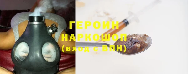 индика Беломорск