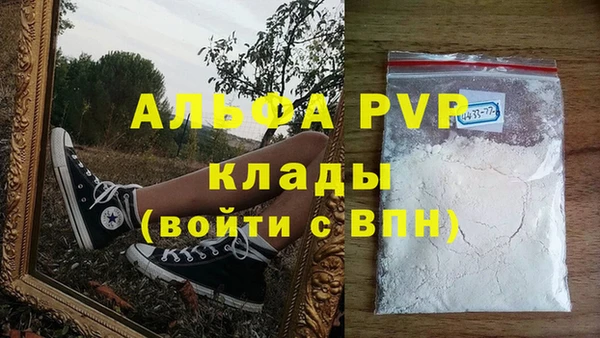 индика Беломорск