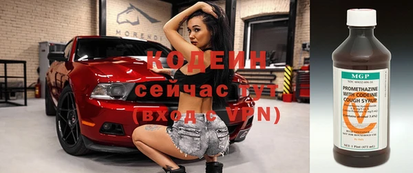 индика Беломорск