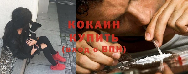 индика Беломорск